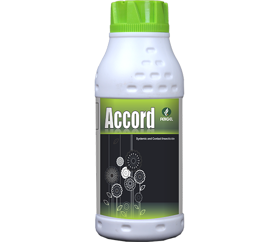 ACCORD