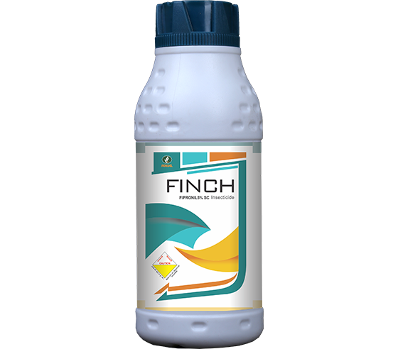 FINCH