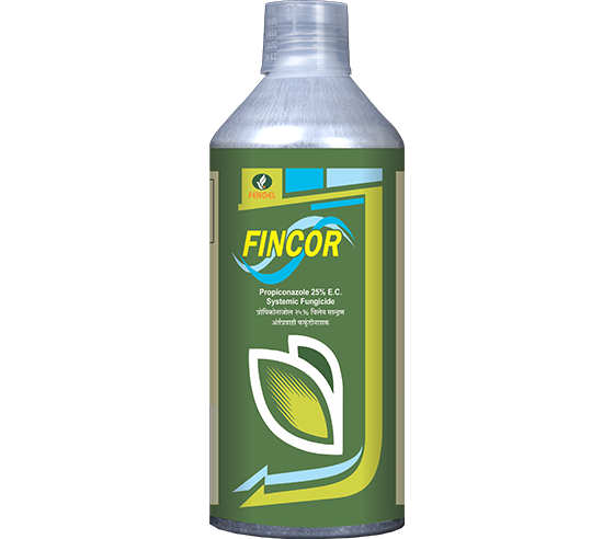 FINCOR