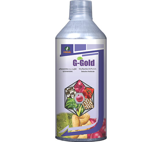 G-GOLD