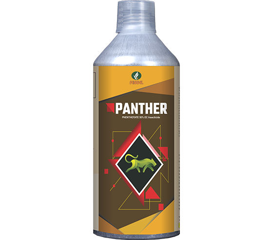 PANTHER