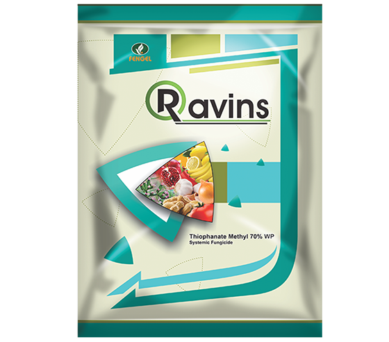 RAVINS