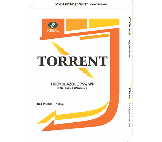 TORRENT